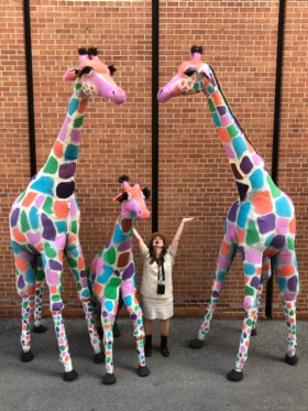 giraffes