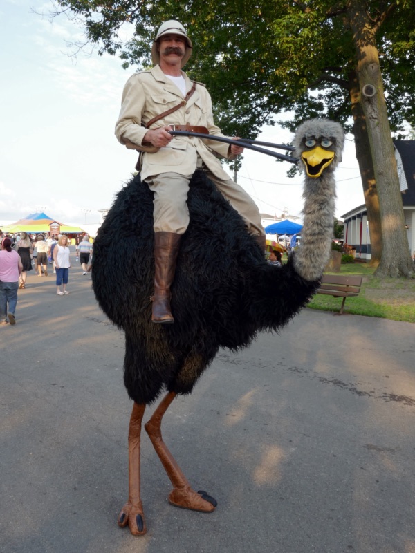 ostrich